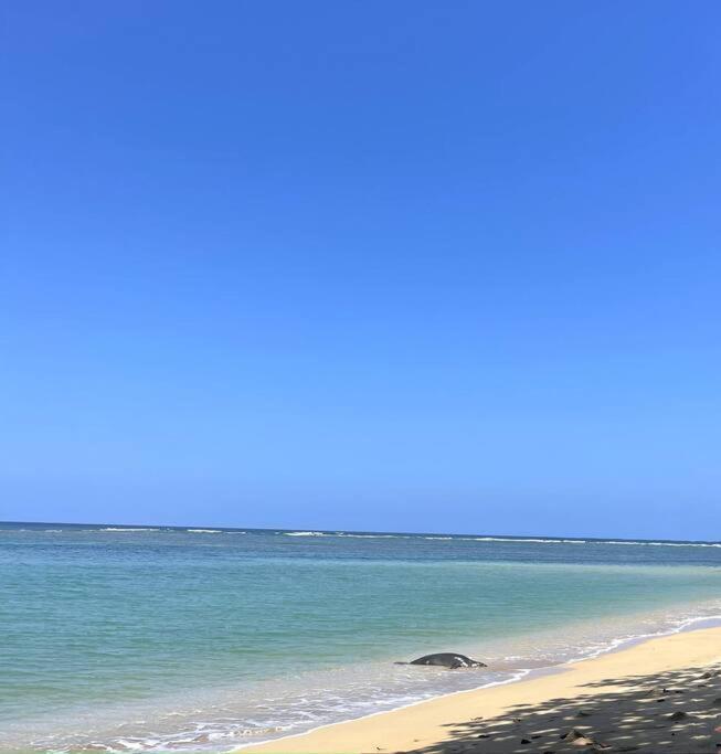 Hummingbird Oceanfront Cottage Hau'ula Dış mekan fotoğraf