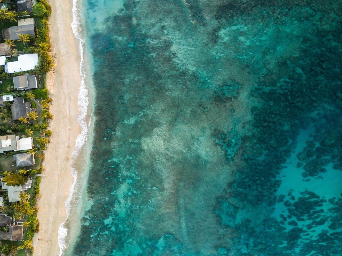 Hummingbird Oceanfront Cottage Hau'ula Dış mekan fotoğraf