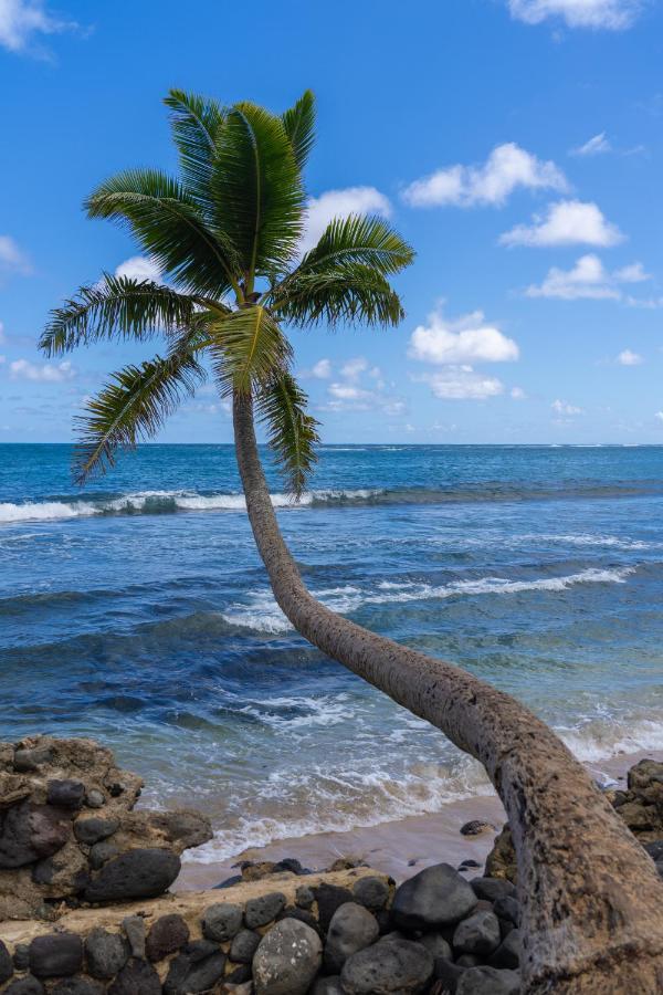 Hummingbird Oceanfront Cottage Hau'ula Dış mekan fotoğraf